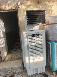 مبرده • شغاله • ليف جديده