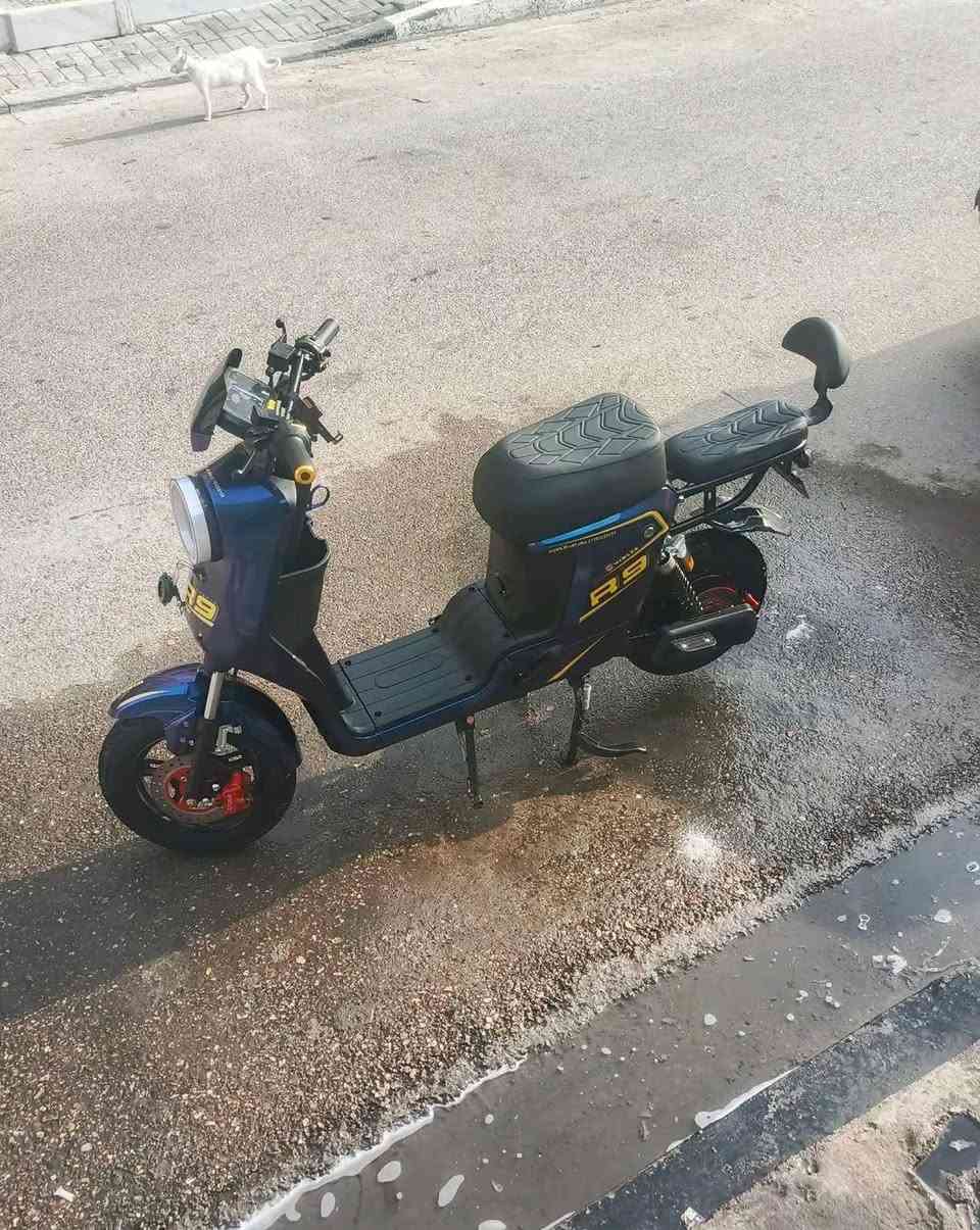 السلام عليكم دراجات اثنين شحن.الاولى ار 9.موديل 2026.بطاريه 32 نظيفات.ملف 1200../دراجه الثانيه اكس 900.موديل 2025.للبطاريات 33 امبير نظيفات.ملف 2000. وسعرها اثنيناتهن مليون وبيهن مجال


**إذا كنت صاحب هذا الإعلان وتريد حذفه لأي سبب، رجاءا أرسل رسالة إلى الدعم الفني**