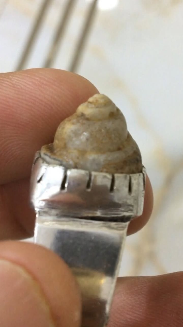 محبس عطف بري لوي رباني صياغه فظه يدوي ثقيله


**إذا كنت صاحب هذا الإعلان وتريد حذفه لأي سبب، رجاءا أرسل رسالة إلى الدعم الفني**