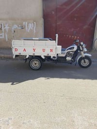 ستوته • دايون • ٢٣