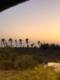 ابي الخصيب حمدان • ١٦٥٠م • بستان