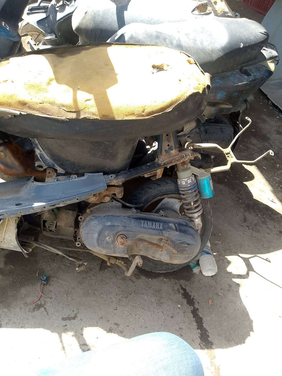 السلام عليكم 
دراجات تفصيخ للبيع 
ابيع هل موجود 
ان سله شاصي نظيف سعر100 
اف اس ابيع ع 100 طافي 
الاتصال *********** 
مكاني المسيب صوب البوحمدان
