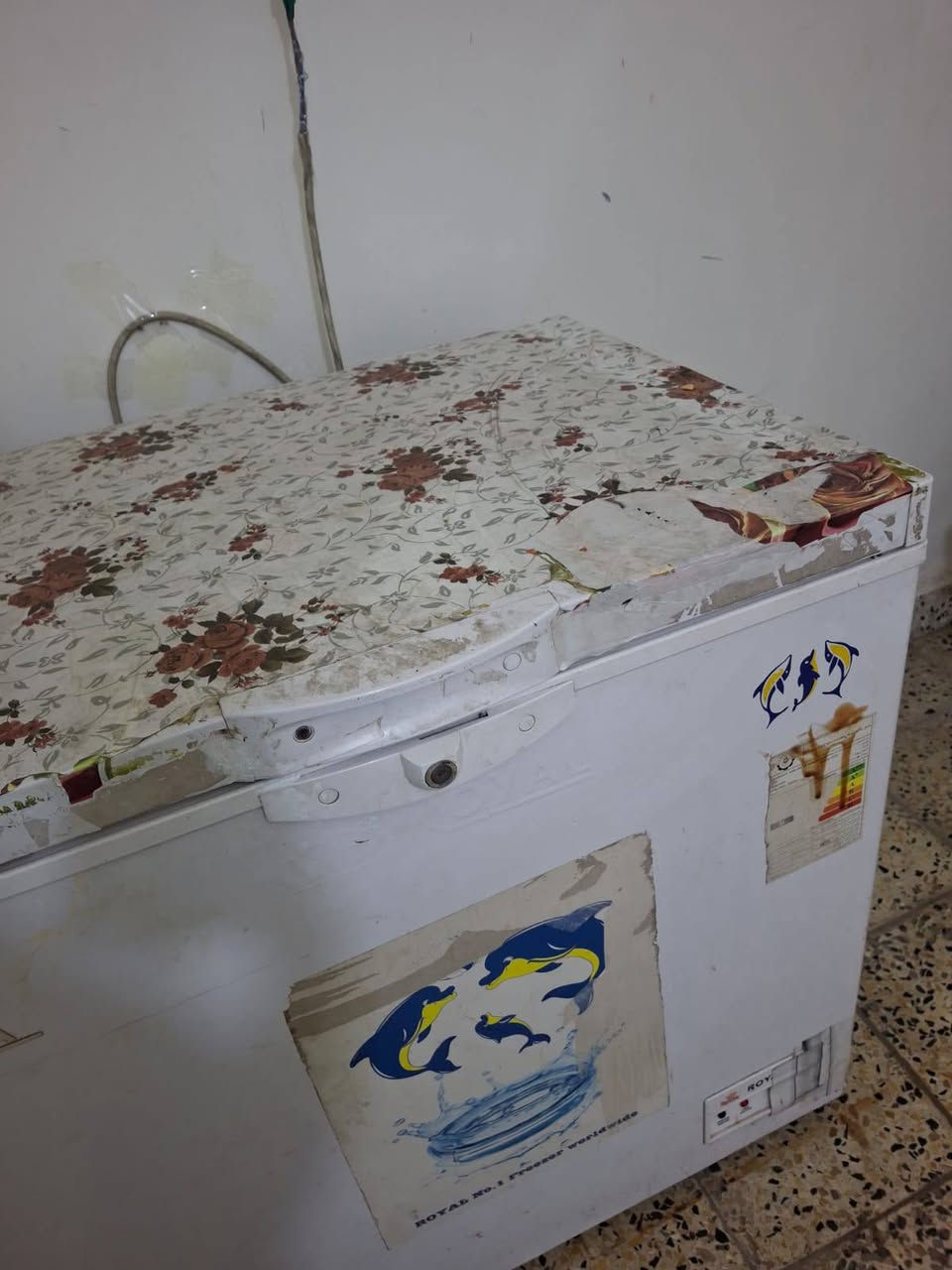 للبيع مجمدة


**إذا كنت صاحب هذا الإعلان وتريد حذفه لأي سبب، رجاءا أرسل رسالة إلى الدعم الفني**