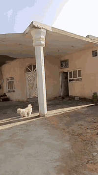 الزبير خلف المعارض • ٥ منام • كراج جبير