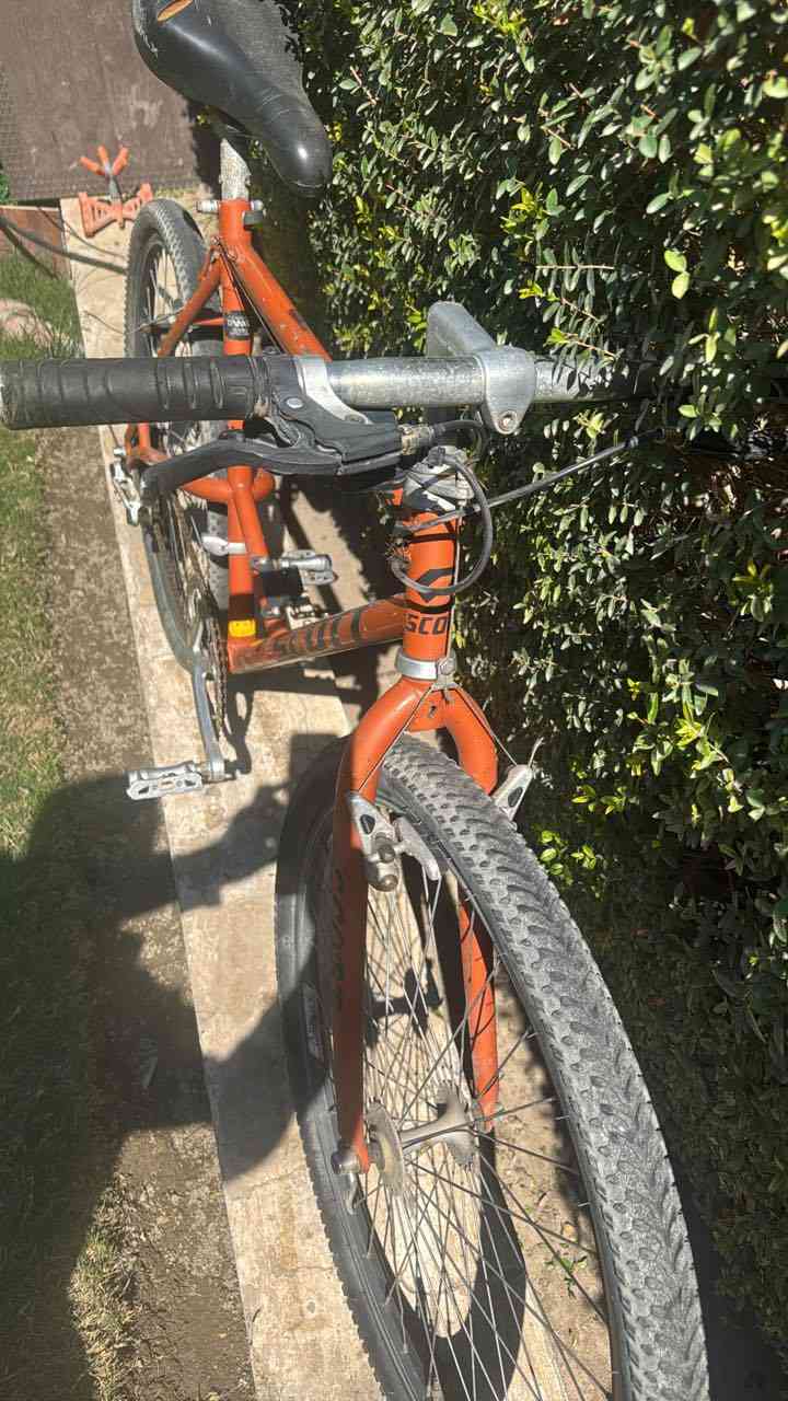 بايسكل ياباني بالة قياس ٢٦ للبيع السعر ١٧٥ الف بغداد المنصور


**إذا كنت صاحب هذا الإعلان وتريد حذفه لأي سبب، رجاءا أرسل رسالة إلى الدعم الفني**