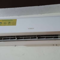 سبلت توسوت • ٢ طن • موسم واحد