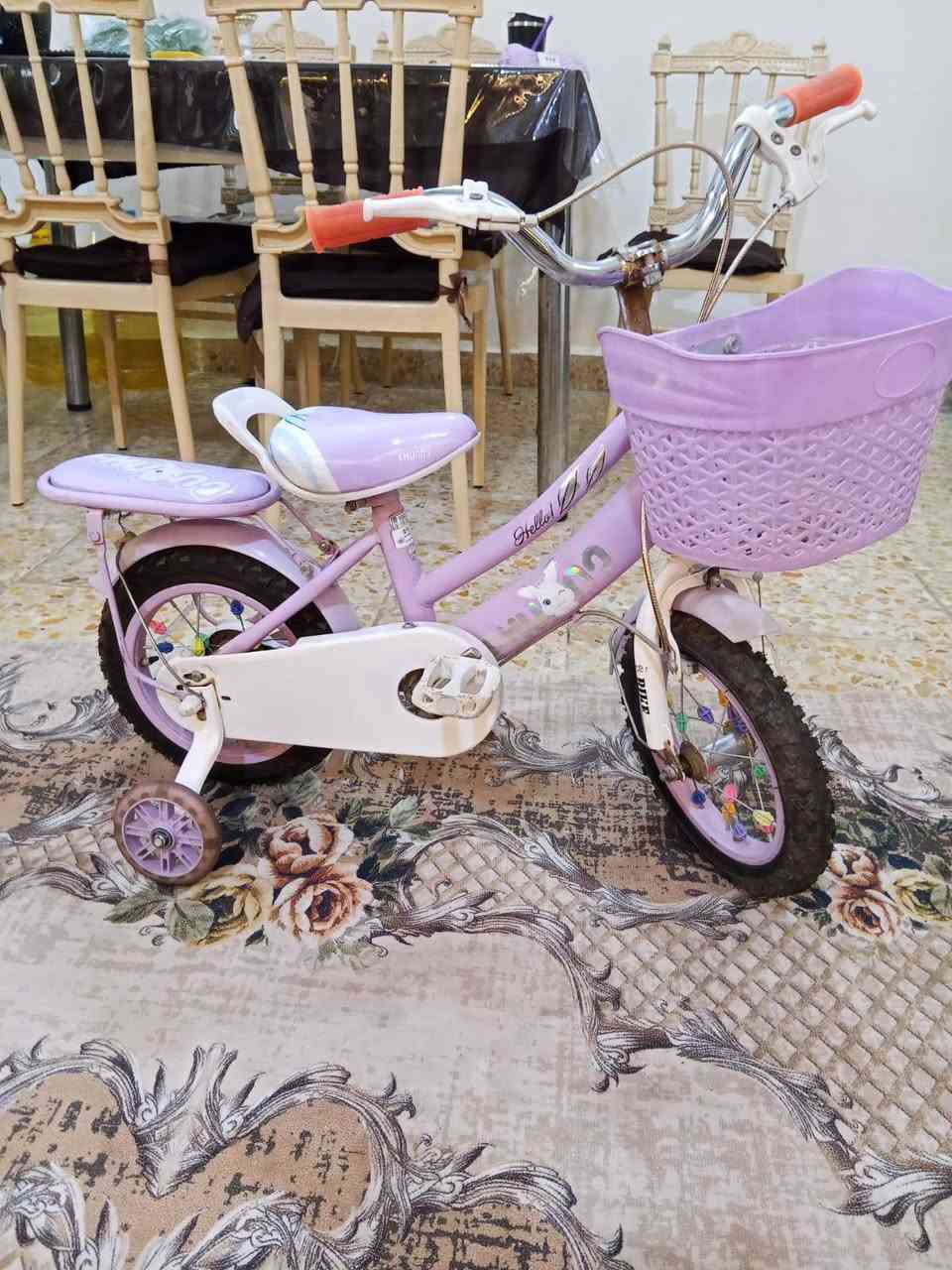 بايسكل مستعمل نضيف سعره 40 الف مكان بغداد حي الجهاد


**إذا كنت صاحب هذا الإعلان وتريد حذفه لأي سبب، رجاءا أرسل رسالة إلى الدعم الفني**