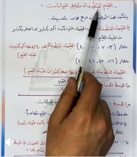 كورس خاص • تدريب يومي • قرب نور ستي