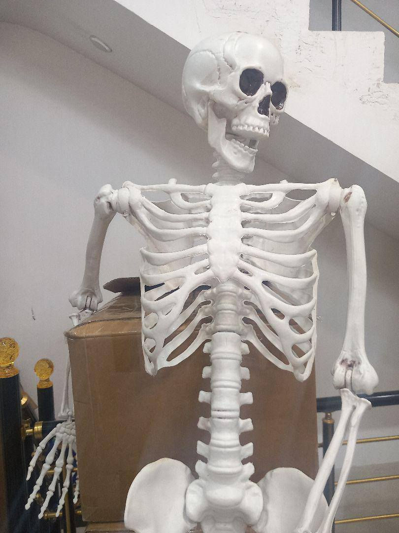 السلام عليكم 
 هياكل عظمية كلشي بسعر مكتوب ع الصور مع القياس


**إذا كنت صاحب هذا الإعلان وتريد حذفه لأي سبب، رجاءا أرسل رسالة إلى الدعم الفني**