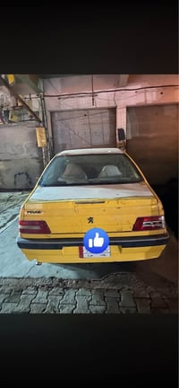 بيجو لميس • ٢٠١٣ • مشروع وطني