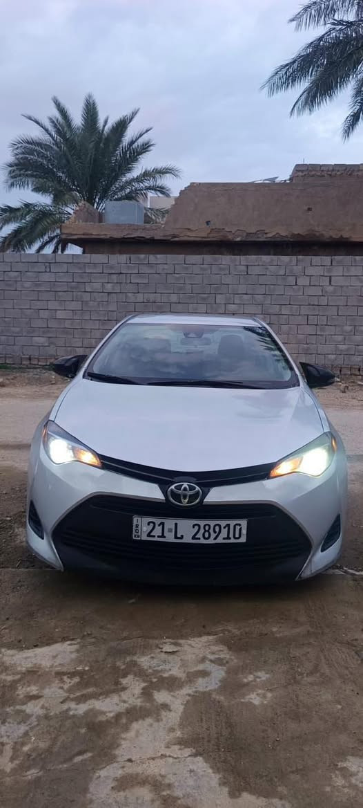 سلام عليكم
كورلا موديل موديل 2017رقم سليمانيه بسمي تريد وكاله تريد تحويل رقم دوالي سنويه للغا 28هزه جديده فحص كله جديد 
السياره وارد أمريكي ضره جاملق امامي فقط بدون دواخل شرط السياره بيه 3قطع صبغ فقط رش السياره مكانيك كله كفاله عامه السياره فيت LEالسياره كير محرك كفاله عامه مكينه 18شرط لا بخار ولا صوت وإلا فتح السياره تبريد ثلج تخم تاير حداديه جديد السياره عله ادامه كامله موصفات السياره شاشه تاب حساسا امامي خلفي تحكم ستيرن السياره خير من الله ما تصرف عله لو ألف و بل عافيه عل ياخذه السعر (105)وبيه مجال حك الجيه رقم صاحب السياره ***********مكاني ديالى بعقوبه
