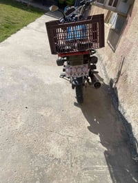 سيفان • ٢٠٢٤ • دوالي سريع