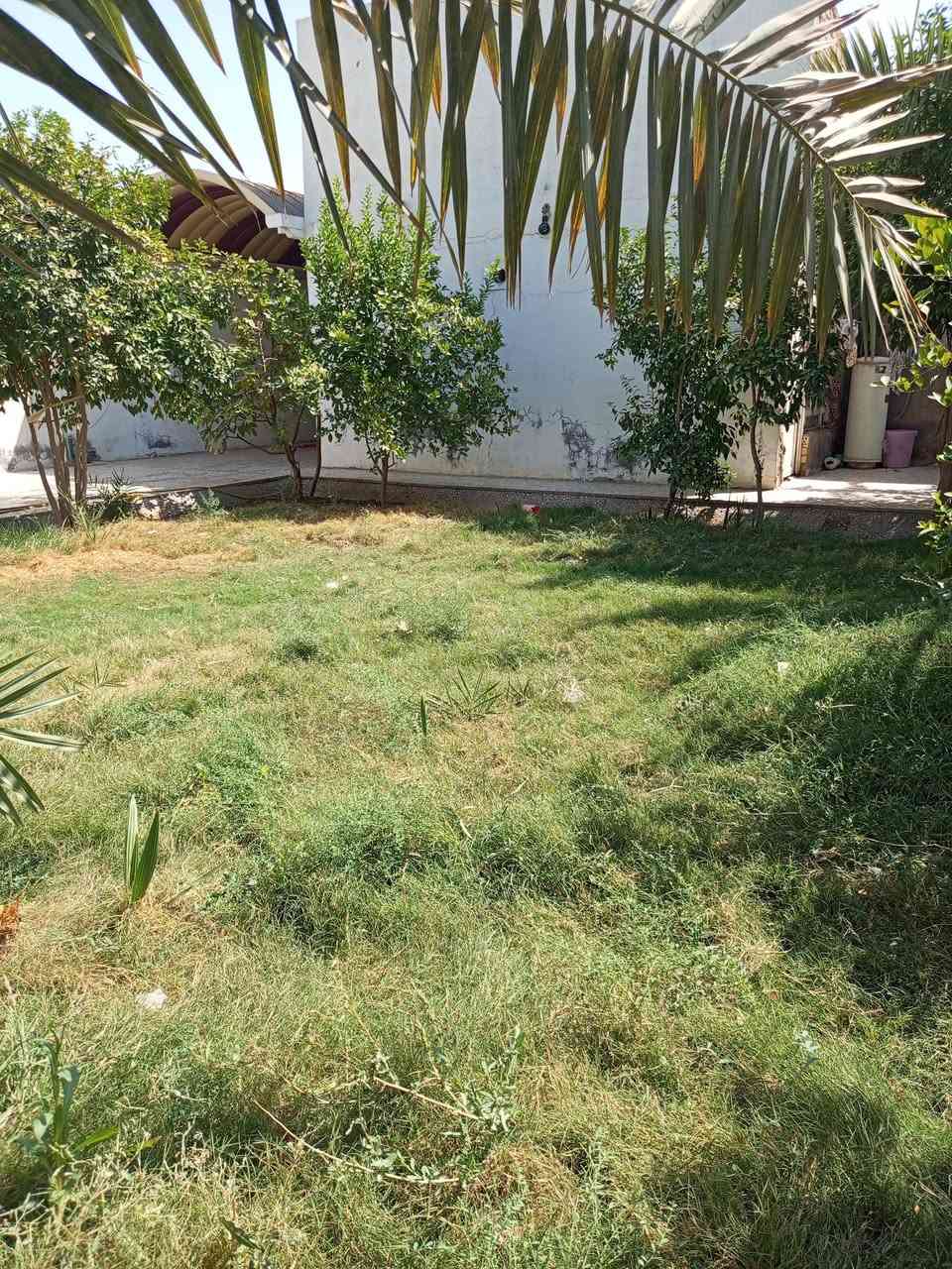 سلام عليكم ورحمه دار للبيع في العباسية الكوفة عله شارع تجاري مساحة 400متر سعر80.    ***********
