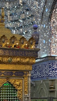 نجف الاشرف • كربلاء المقدسه • كوسترات مكيفة