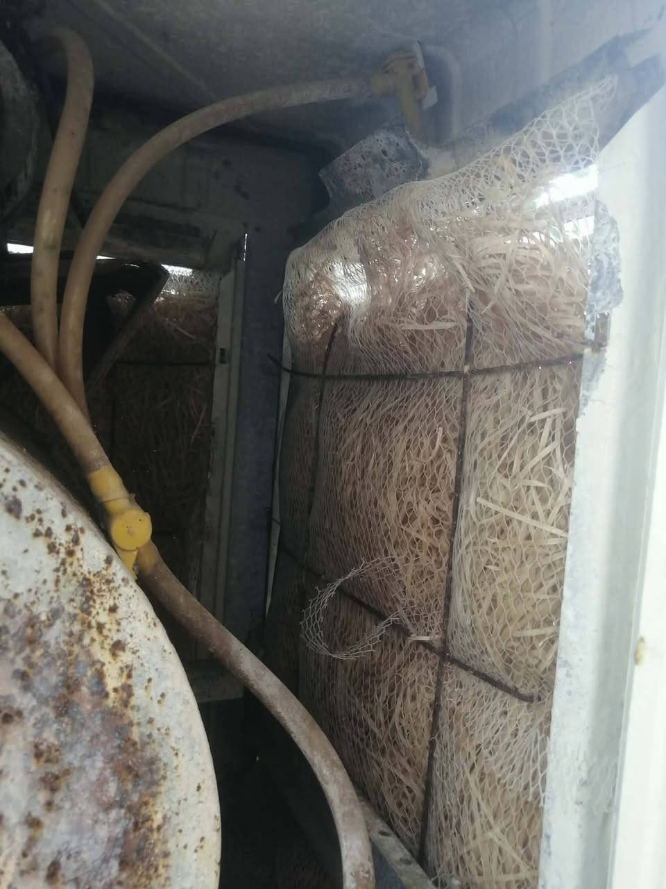 مبرده شرط شغاله نهايته 40العنوان برطله


**إذا كنت صاحب هذا الإعلان وتريد حذفه لأي سبب، رجاءا أرسل رسالة إلى الدعم الفني**