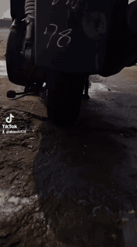 دراجه بوليس للبيع
العنوان بصرة أبي الخصيب
***********
