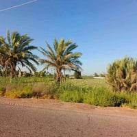 3دوانم ونصف عقد 117 في ابو غريب منطقه الحمدانيه الهيتاوين قريب المستوص...