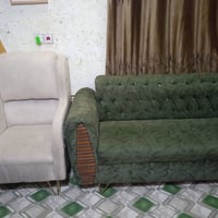 تخم تسگام • زيتوني • اوف وايت