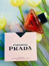 Prada Paradoxe • ثبات عالي • الديوانية