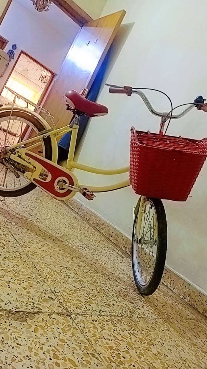 بايسكل حجم ٢٠ باله اوربي ماركه معروفه قوي لون مميز سعر ٧٥ قبل اشهر اخذته ب١٠٠ من الصدريه مكانه الدوره ***********
