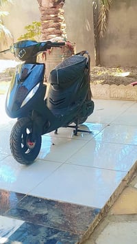 ماكس عدالة • ٤٩ • بصره قضاء المدينه