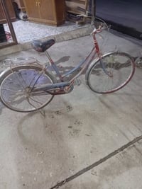 بغداد العبيدي الراسه قرب مدرسه دار العلم 07719182280