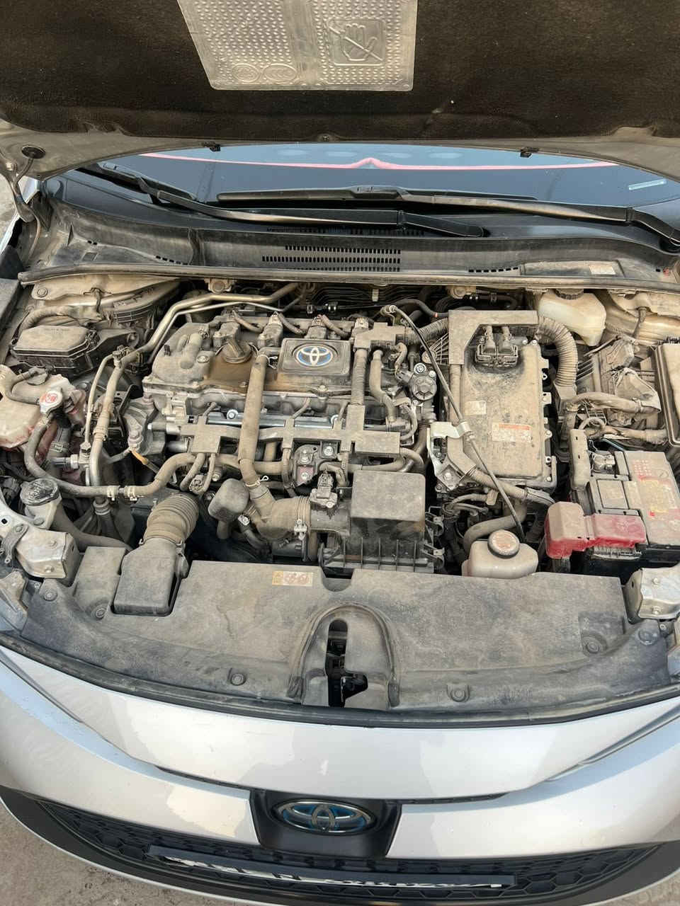 السلام عليكم كورلا هايبرد موديل 2022  حادثها جاملغ وبنيد  بدون ايرباك صور الحادث مرفوقه بالمنشور سياره رقم بغداد  الجديد دولي العنوان بغداد مدينه الصدر سعر 145￼ رقم الهاتف ***********
