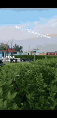 مطعم كرم اهلنا • مندي ومشاوي • بسمايه