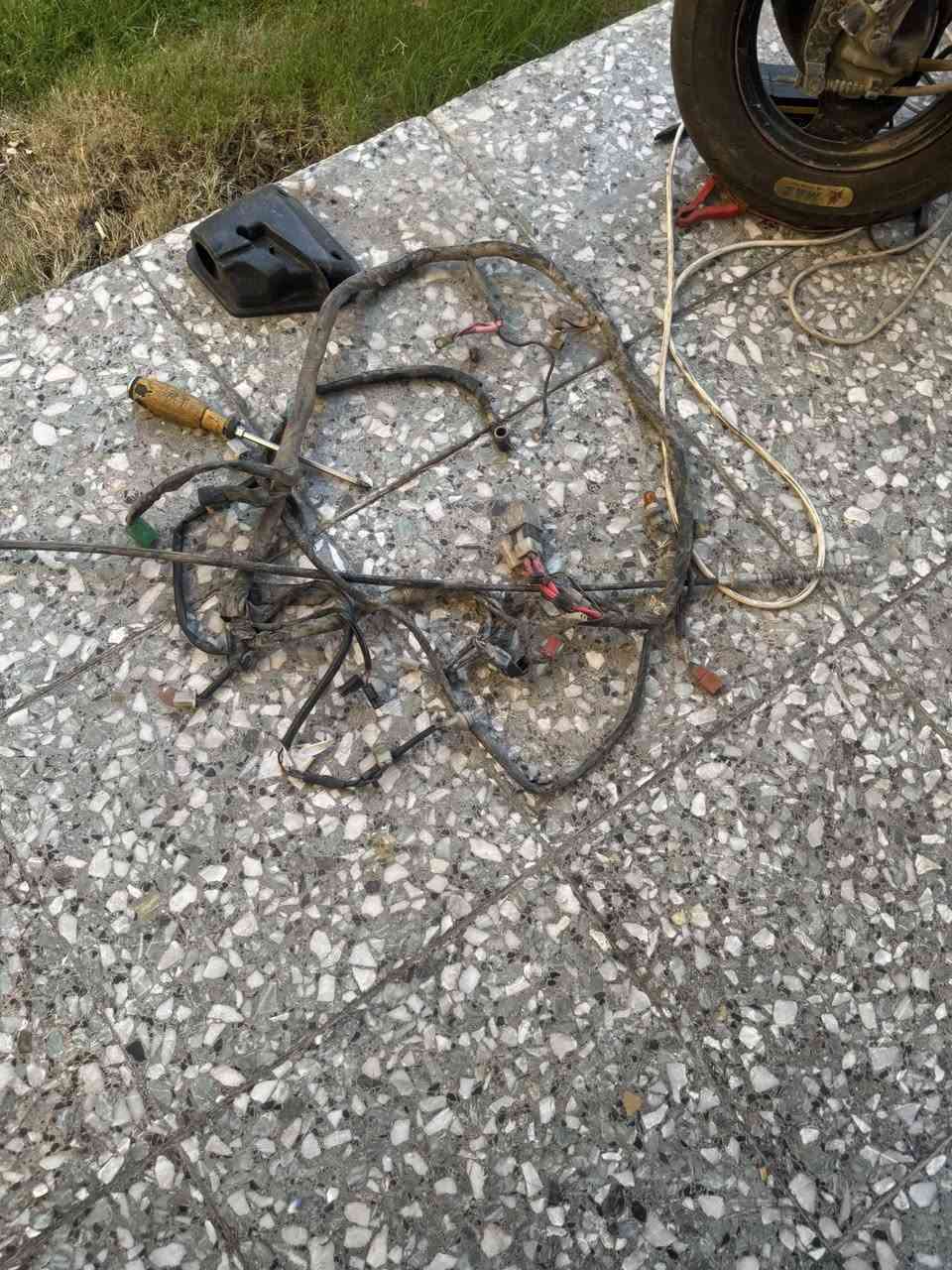 فول ملح بيع شلع 75


**إذا كنت صاحب هذا الإعلان وتريد حذفه لأي سبب، رجاءا أرسل رسالة إلى الدعم الفني**