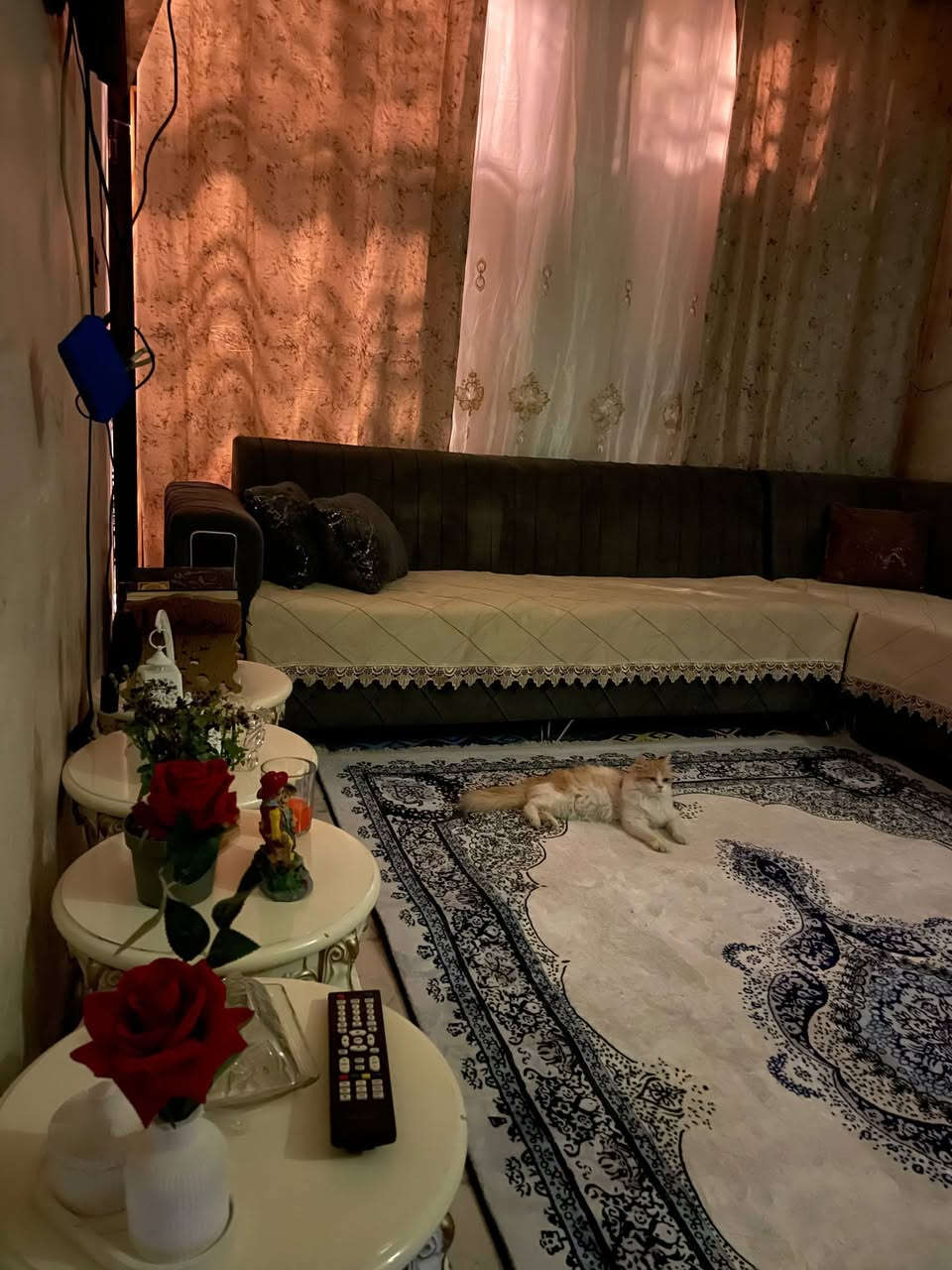 دار للبيع 100 م طابو صرف واجهة 5م *20
المكان حي الجهاد الملحانية قرب اسواق زم زم وقريب على شارع المدارس
الطابق الاول مدخلين يحتوي على استقبال ومطبخ وهول وصحيات منفصلة وغرفة نوم ومنور
الطابق الثاني يحتوي على 3 غرف نوم وحدة كاملة والباقي هيكل
وايضا اكو بيتونة والسطح شتايكر
الدار يحتاج ارضية وبياض طابق ثاني وتبديل ارضية الطابق الارضي تقريبا 12 مليون 
مستعجلين على البيع للعلم سعر المتر بدون بناء مليون
السعر 140 قفل 🔴🔴
تفاصيل اكثر راسلونا خاص


**إذا كنت صاحب هذا الإعلان وتريد حذفه لأي سبب، رجاءا أرسل رسالة إلى الدعم الفني**