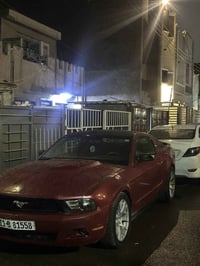 موستنك • ٢٠١٠ • المراوس