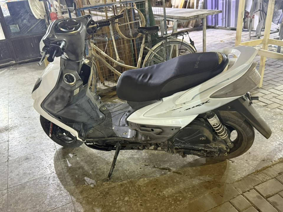 فحل للبيع شغاله بس تاخر شىيه ويرادلهه تبديل كامشفت سعرهه 450  مكاني بغداد / سبع ابكار ***********
