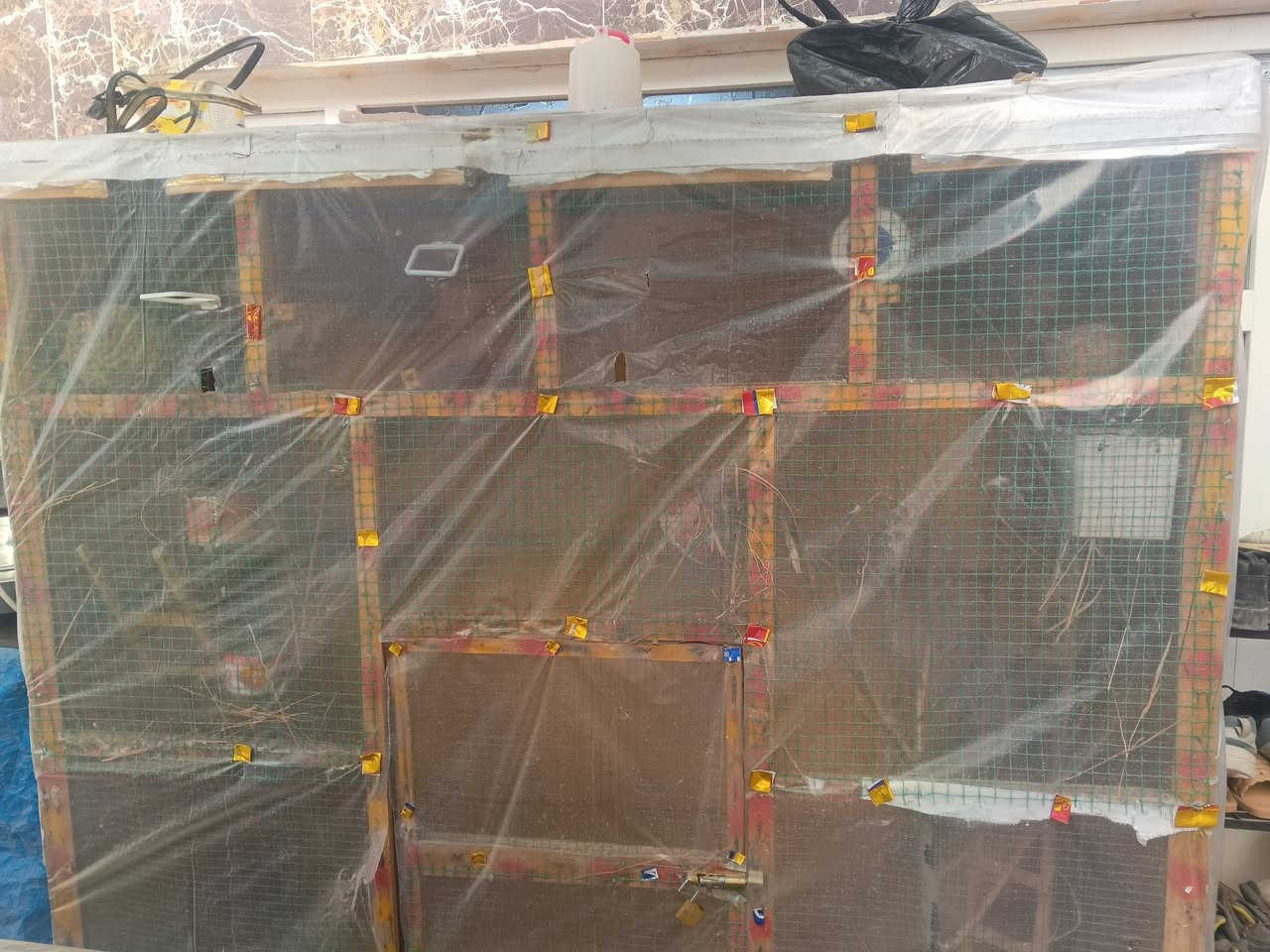 السلام عليكم
م ت اح 
قفص او محميه 
واجهيا مترين طول مترين عرض متر )) رايده  (( 50 ))


**إذا كنت صاحب هذا الإعلان وتريد حذفه لأي سبب، رجاءا أرسل رسالة إلى الدعم الفني**