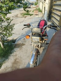 موديل 21 • أوراق • دبلات واكفه