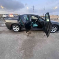 ويل ١٧ • تاير جديد • مراوس ٢٠