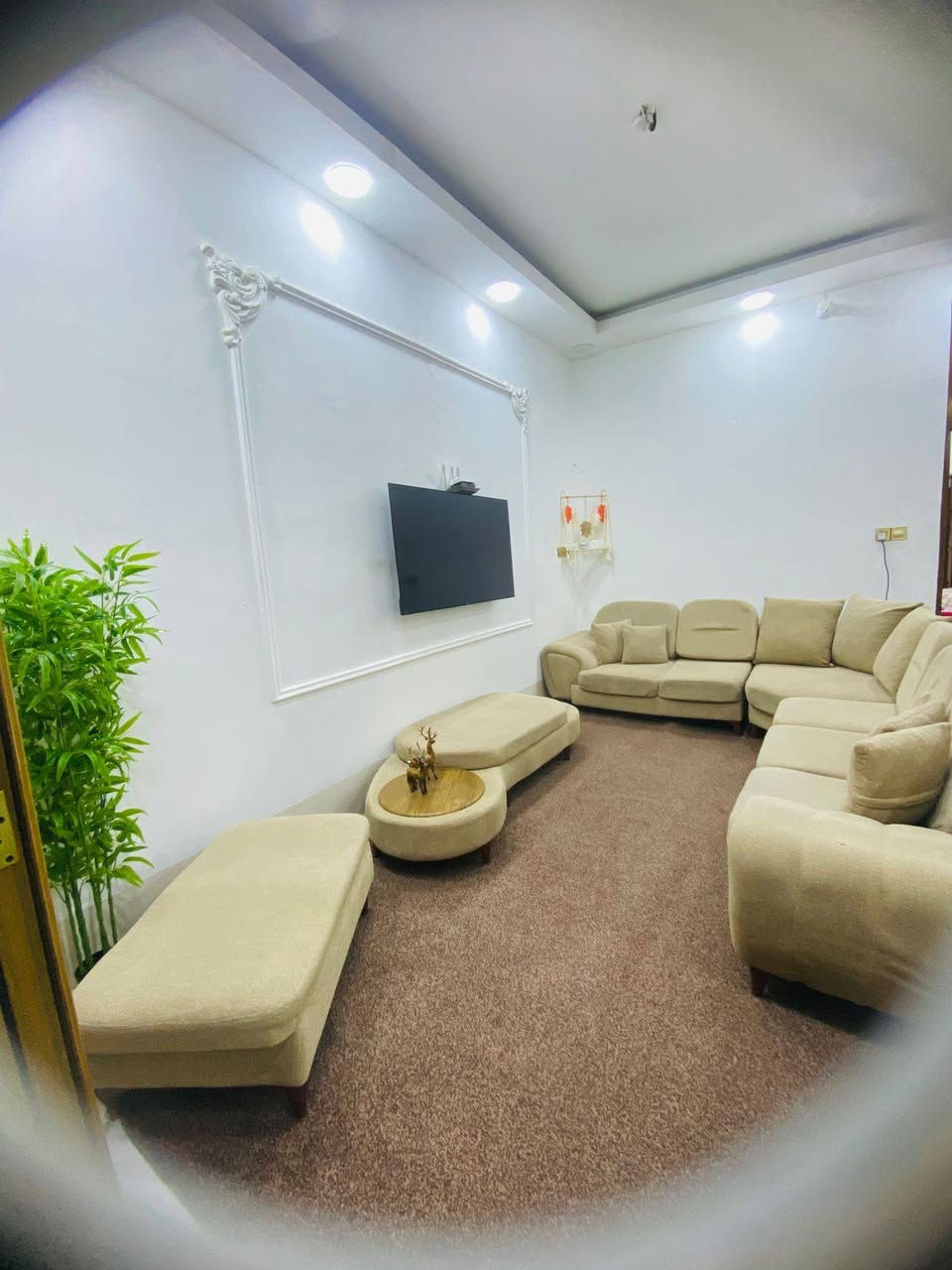 السلام عليكم
ديوان كلش نضيف تركي كورنل
١٠ مقاعد
السعر ٦٥٠
اي ضرر مابي
#بابل #اكسبلور#جميع #فولو


**إذا كنت صاحب هذا الإعلان وتريد حذفه لأي سبب، رجاءا أرسل رسالة إلى الدعم الفني**