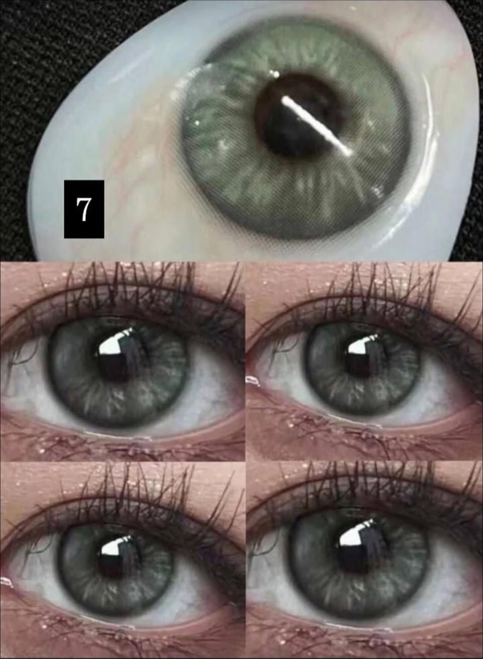 عدسات كوريه #ب١٣
مكبره لعين ❤️
سنويه💕
كلش مريحه ع عين❤️❤️
لحجز والاستفسار ع وتساب ***********
توصيل بسمايه الف
بغداد ب5
محافضات ب5
