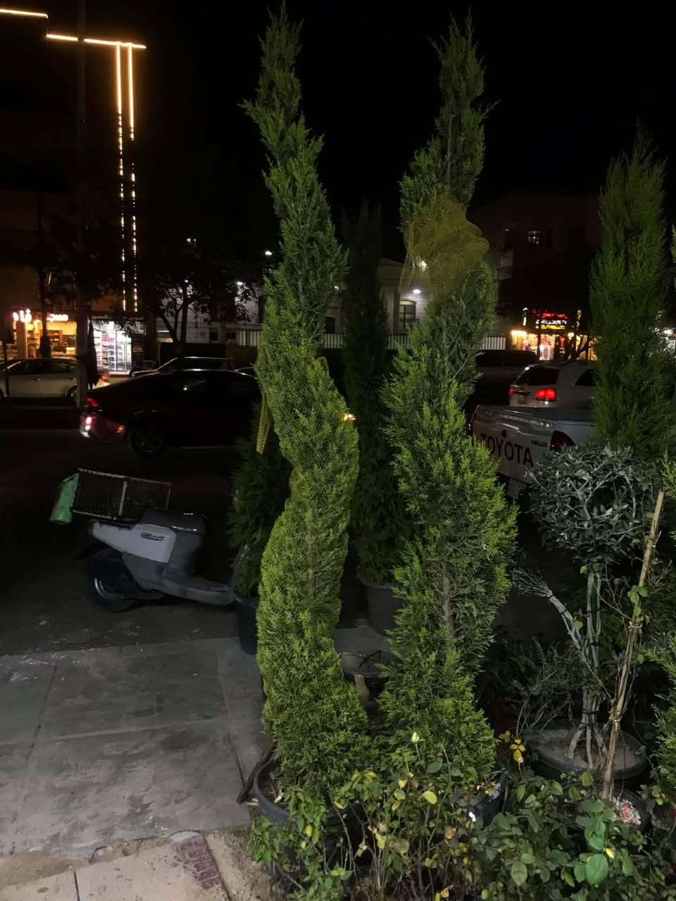 السلام عليكم ورحمة الله وبركاته 🤍
اني عندي مشتل بغداد حي الجهاد وعندي كادر لعمل الحدائق المنزليه والادامة ايضاً هذا جزء من عمل الكادر مالتي في مجمع البدور عمل الحديقة يتضمن :
١-مكافحة مجانية للارضة والحشرات 🪱🪳
٢-هدية من المشتل نوعيتين زرع🪴💐
٣-اول عمليه ادامة ومتابعه بعد العمل تكون مجانية 🪏🪜
العمل يتضمن:
١- فحص التربه وتهيئتها للزراعه  
٢-وضع الاسمدة اللازمة حسب النبات 
٣-زراعة النباتات 
٤-عمل لاين حسب طلب الزبون ديكور او زرع طبيعي
٥-زراعه الثيل حسب بيئة الحديقه ووضع الاسمده اللازمة ايضاً
للاستفسار التواصل خاص او على الرقم :***********
