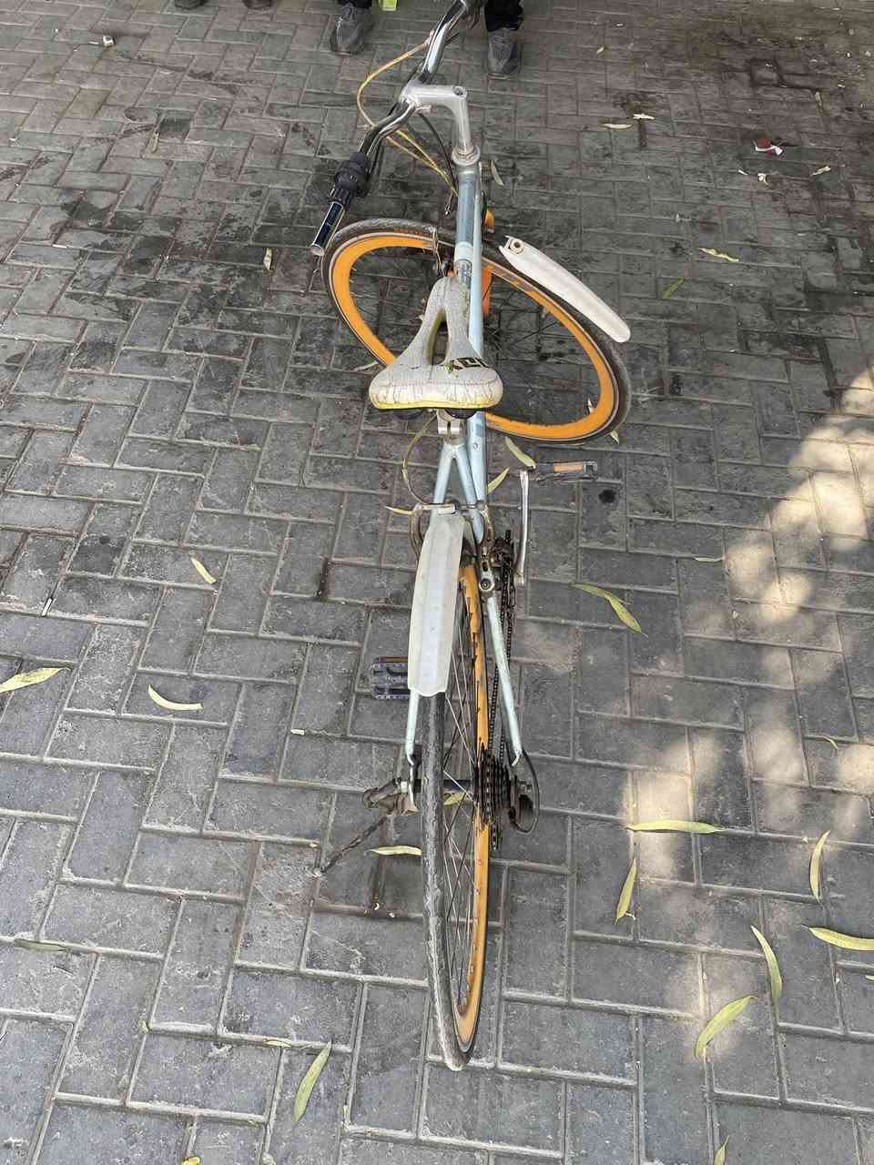 سلام عليكم بيع باسكل  مال سباق. باله اصلي مابي اي نقص جديد حيل سعر 100 الف. بي مجال  ***********
