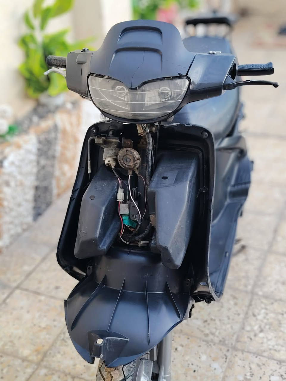 سلام عليكم
فراشه فحل جديده مكينه حاويه كلشي شغال بيهه  
السعر 400مكاني نجف شارع المطار ***********
