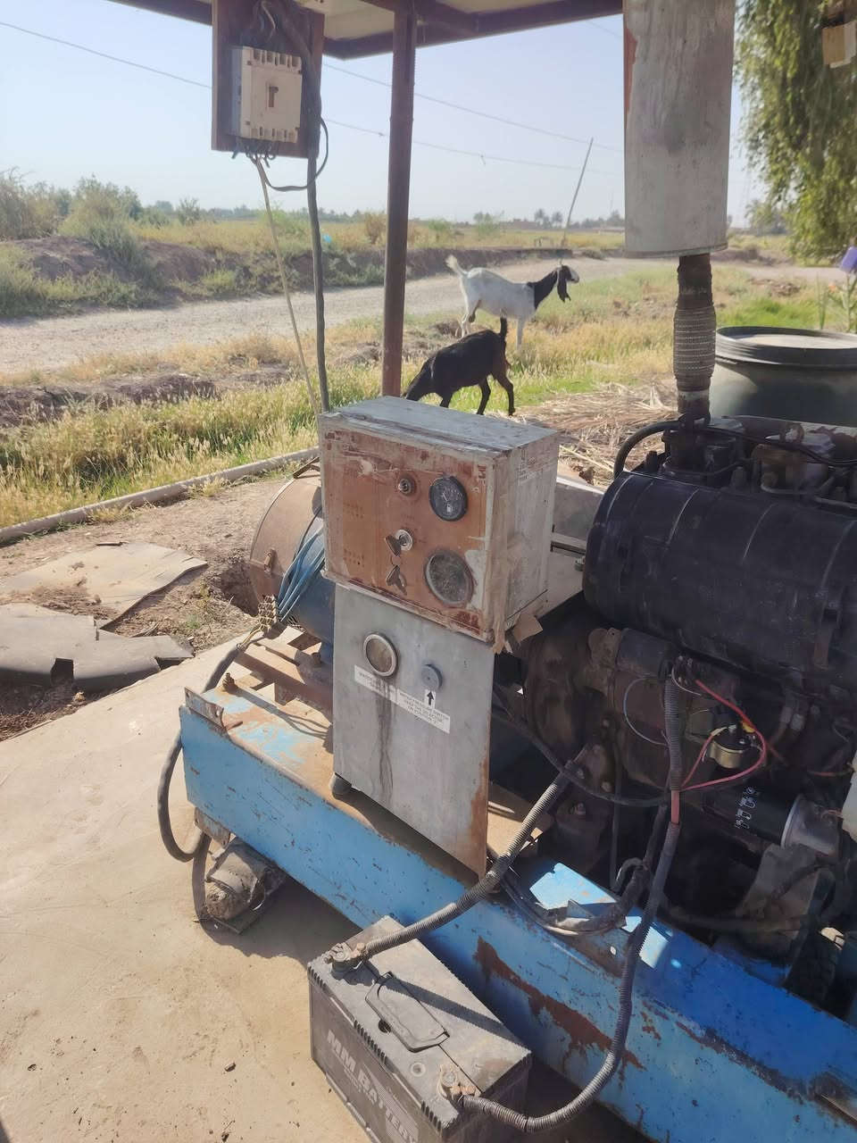 للبيع مولد دويز 3 بستم ألماني مع دينمو 24 KV  إنتاج 96 أمبير المولد شغال وبحالة جيدة وخير من الله
💰 السعر: 3,000,000 دينار عراقي
📍 الموقع: محافظة صلاح الدين – قضاء الدجيل
📞 رقم الهاتف: ***********
للبيع مولد ديزل 3 بستم ألماني مع دينمو 24 KV إنتاج 96 أمبير المولد شغال  وخير من الله
