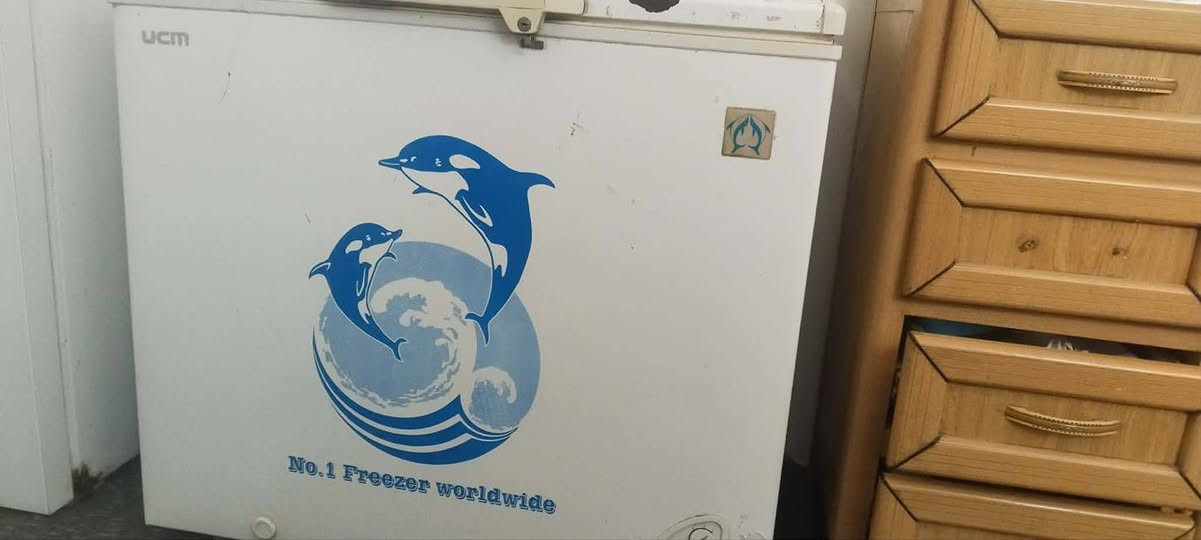 سلام عليكم متاح مجمده شرط نضافه وتجميد استعمال قليل سعر 100مكاني كربلاء العطيشي استفسار انتصال ***********
