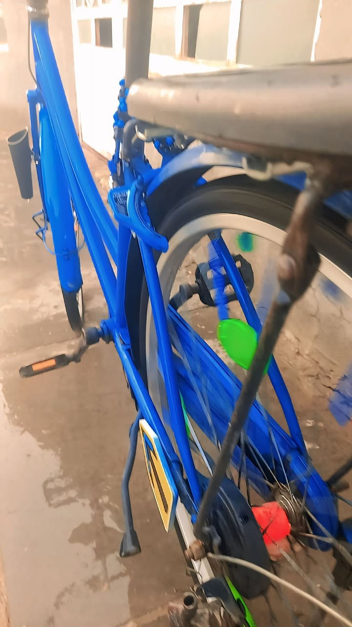 باسكل البيع بدون مراوس باسكل نضافه فول باسكل مصبوخ سعر 75 بي مجال شراي يجي خاص


**إذا كنت صاحب هذا الإعلان وتريد حذفه لأي سبب، رجاءا أرسل رسالة إلى الدعم الفني**