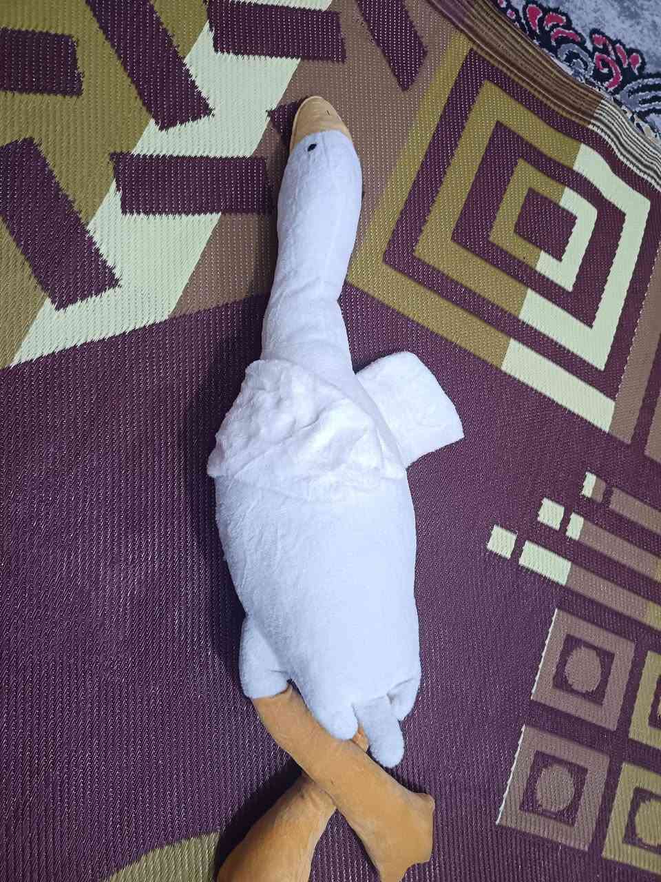 السلام علیکم لعابة بطة للبيع نضيفه وجديدة


**إذا كنت صاحب هذا الإعلان وتريد حذفه لأي سبب، رجاءا أرسل رسالة إلى الدعم الفني**