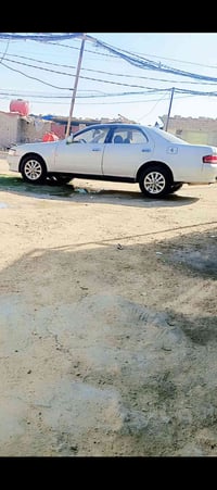 مكينة نفخ • ٢٥٠٠ • رقم بصره