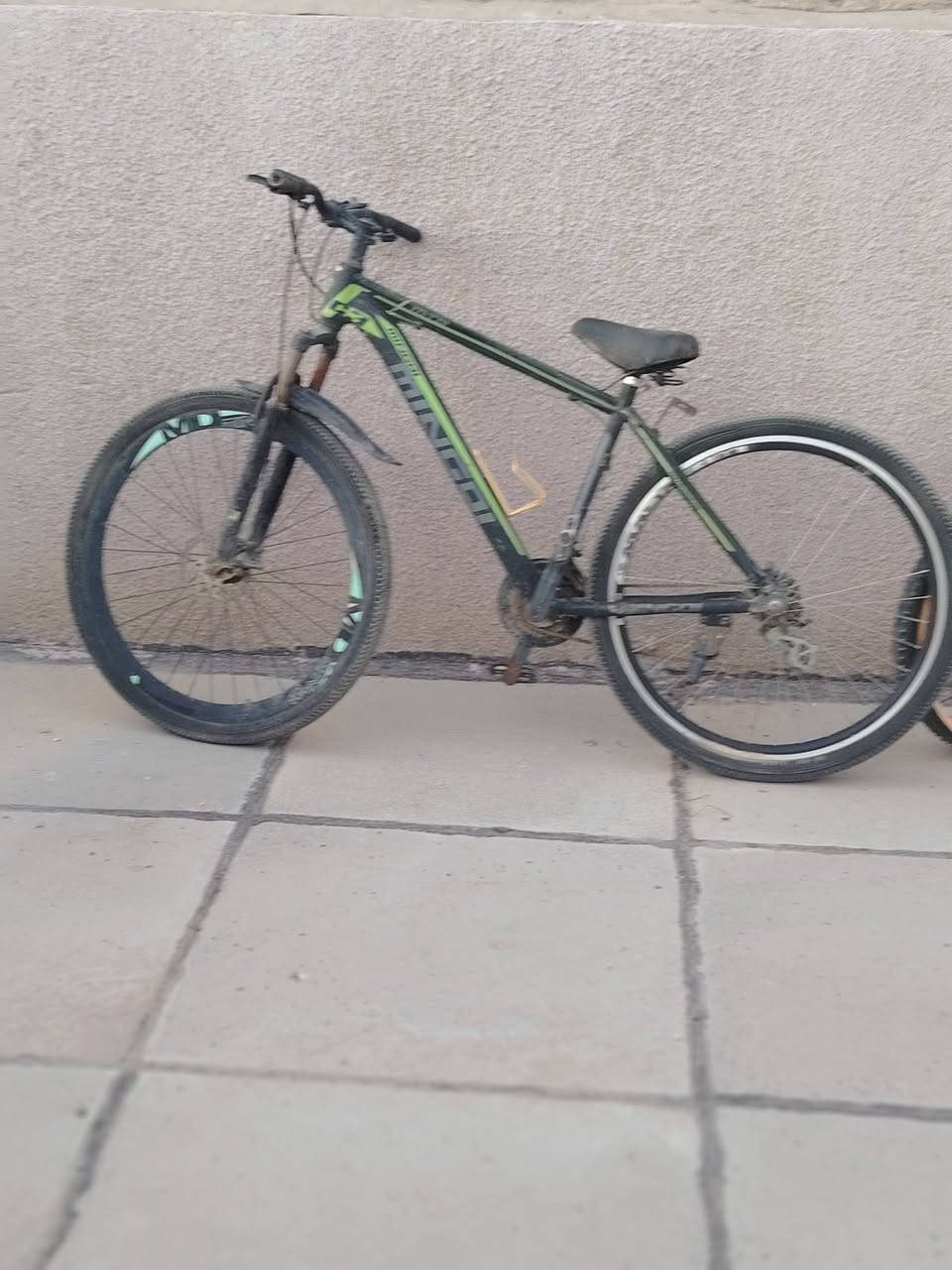 سعر الواحد 50 الف


**إذا كنت صاحب هذا الإعلان وتريد حذفه لأي سبب، رجاءا أرسل رسالة إلى الدعم الفني**