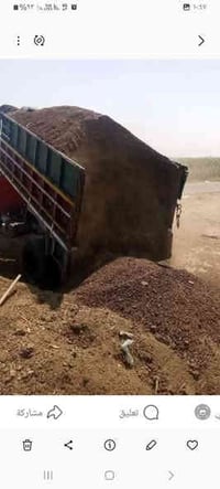 يوجد دمن غنم ودمن هوش اليريد يتصل وبي خير ويدلل07838545700 07759416238