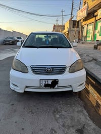 كورلا نحله • تماتيك • ٢٠٠٨