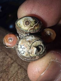 خواتم • السليماني • السماوة