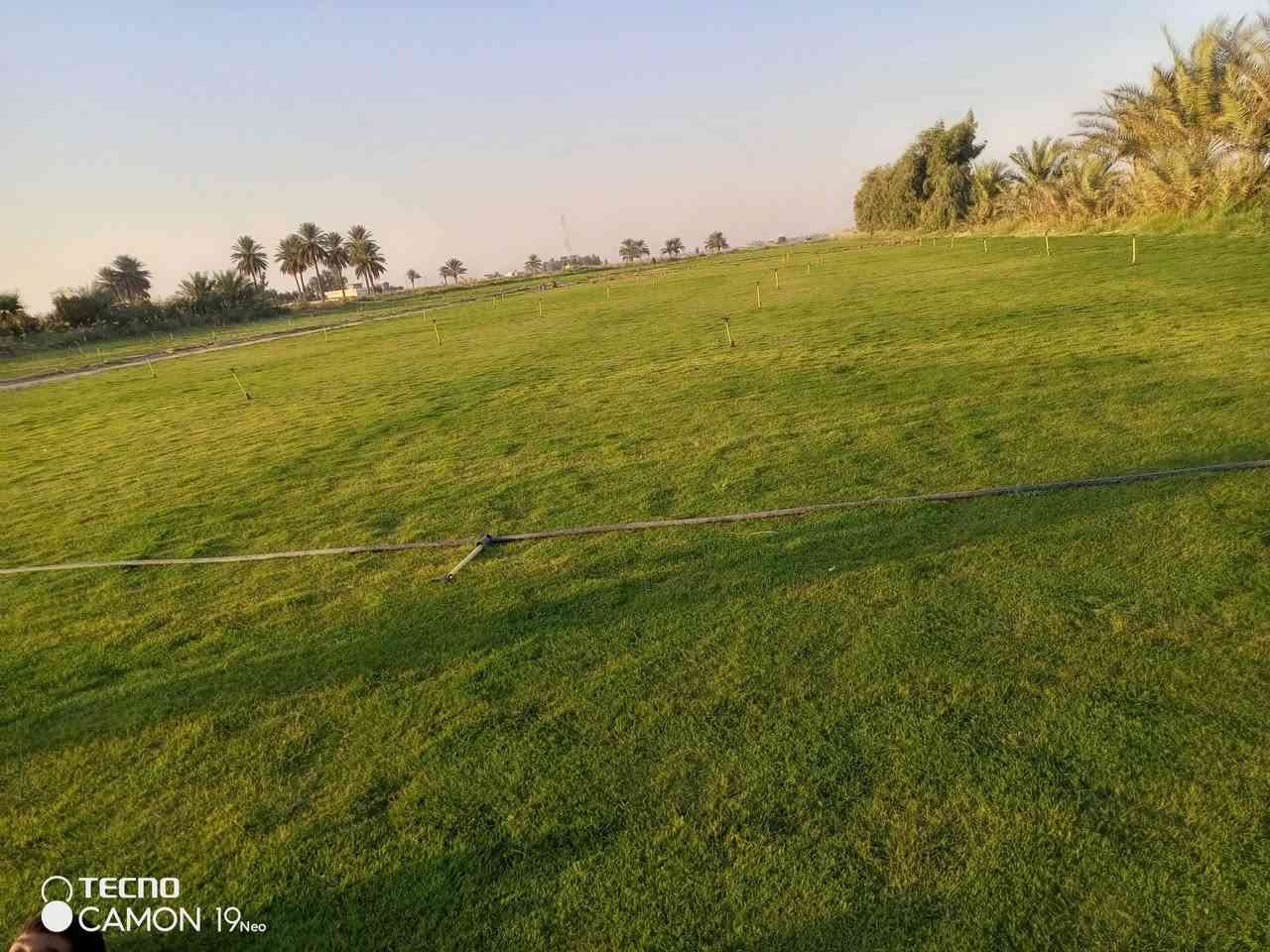 مزارع  الشمال للثيل الطبيعي 🍀
متوفر كافة انواع الثيل 🍀
( امريكي - الهندي - الايطالي - الفرنسي )
لتجهيز... مشاتل🌴
والدوائر حكوميه🏦
منازل🏡 
منتزهات🏄
موجود خدمة توصيل 🚕
لكل محافظات العراق 🚕
للطلب يرجى التواصل مع الصفحة او مراسلة واتساب او الاتصال على :
***********
